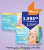 TEMPO Pampers Pelene