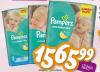 Dis market Pampers Jumbo pelene