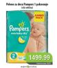 Univerexport Pampers New baby-dry pelene