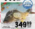 Roda Šaran, 1kg