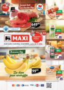 Katalog Katalog MAXI akcija 3-16. novembar 2016
