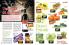 Akcija Katalog Gomex 11-24. novembar 2016 47317
