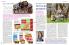 Akcija Katalog Gomex 11-24. novembar 2016 47325