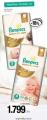 Mercator Pelene Pampers Premium Care