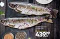 Roda Pastrmka cela na ledu Biofish, 1kg
