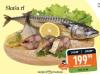Gomex Morska riba i plodovi mora Sveža skuša