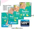 Gomex Pampers Active baby dry pelene
