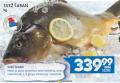 Roda Svež Šaran, 1kg