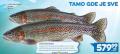 Roda Losos Pastrmka na ledu, 1kg