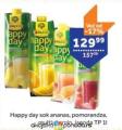 TEMPO Rauch Happy day sokovi, 1l