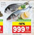 IDEA Riba orada, brancin, 1kg