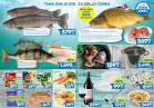 Akcija Katalog RODA akcija 24. novembar do 30. decembar 2016 49113