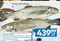 Roda Sveža riba pastrmka, 1kg