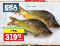 IDEA Riba šaran, 1 kg