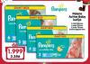 Aksa Pampers Active baby dry pelene