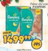 Aman doo Pampers Active baby dry pelene