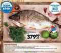 Roda Sveža riba šaran, 1kg