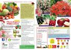 Akcija Katalog Flora Ekspres proleće 2017 51048