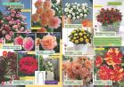 Akcija Katalog Flora Ekspres proleće 2017 51056