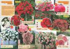 Akcija Katalog Flora Ekspres proleće 2017 51057