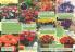 Akcija Katalog Flora Ekspres proleće 2017 51062