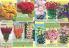 Akcija Katalog Flora Ekspres proleće 2017 51064