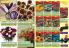 Akcija Katalog Flora Ekspres proleće 2017 51065