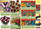 Akcija Katalog Flora Ekspres proleće 2017 51065