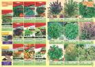 Akcija Katalog Flora Ekspres proleće 2017 51067