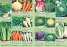 Akcija Katalog Flora Ekspres proleće 2017 51069