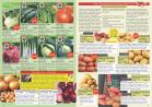 Akcija Katalog Flora Ekspres proleće 2017 51072