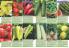 Akcija Katalog Flora Ekspres proleće 2017 51073