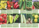Akcija Katalog Flora Ekspres proleće 2017 51073