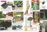 Akcija Katalog Flora Ekspres proleće 2017 51074