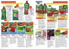 Akcija Katalog Flora Ekspres proleće 2017 51076