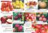 Akcija Katalog Flora Ekspres proleće 2017 51077