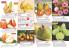 Akcija Katalog Flora Ekspres proleće 2017 51078
