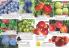 Akcija Katalog Flora Ekspres proleće 2017 51079