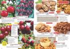Akcija Katalog Flora Ekspres proleće 2017 51081