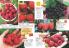 Akcija Katalog Flora Ekspres proleće 2017 51083