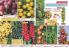 Akcija Katalog Flora Ekspres proleće 2017 51084