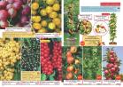 Akcija Katalog Flora Ekspres proleće 2017 51084