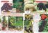 Akcija Katalog Flora Ekspres proleće 2017 51085