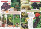 Akcija Katalog Flora Ekspres proleće 2017 51085