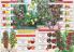 Akcija Katalog Flora Ekspres proleće 2017 51086