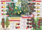 Akcija Katalog Flora Ekspres proleće 2017 51086