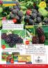 Akcija Katalog Flora Ekspres proleće 2017 51089