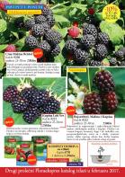 Akcija Katalog Flora Ekspres proleće 2017 51089