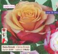 Flora Ekspres Ruža Čajevka sadnica Cherry Brendy