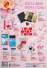 Akcija Katalog DM akcija februar 2017 51506